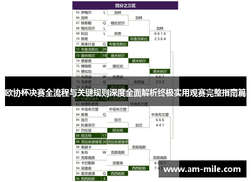 欧协杯决赛全流程与关键规则深度全面解析终极实用观赛完整指南篇 欧协杯决赛全流程与关键规则深度全面解析终极实用观赛完整指南篇