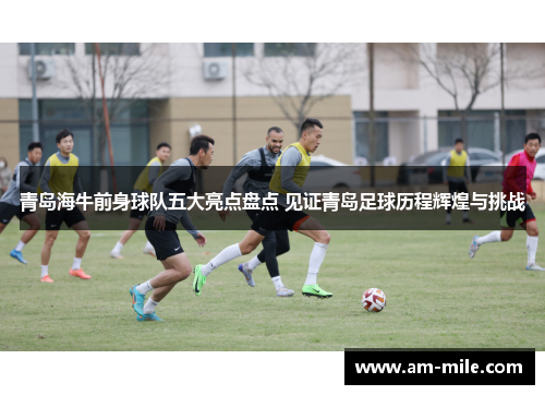青岛海牛前身球队五大亮点盘点 见证青岛足球历程辉煌与挑战