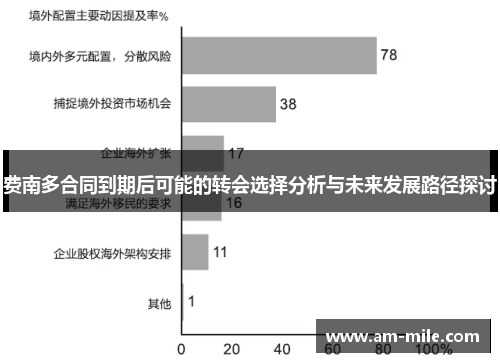 费南多合同到期后可能的转会选择分析与未来发展路径探讨 费南多合同到期后可能的转会选择分析与未来发展路径探讨